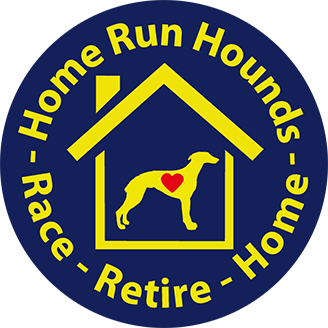 Home Run House